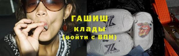 индика Ладушкин