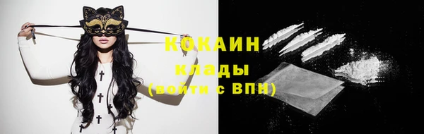 индика Алексин