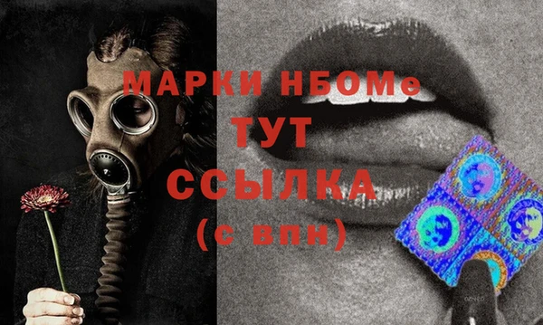 индика Алексин