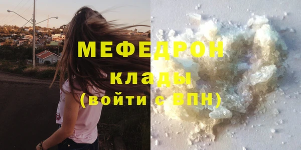 индика Ладушкин