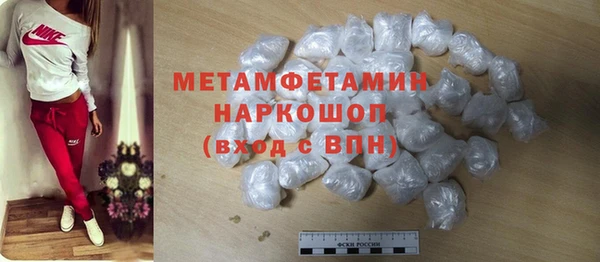 индика Ладушкин