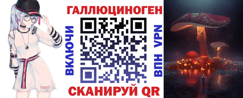 Псилоцибиновые грибы Cubensis  Алагир 
